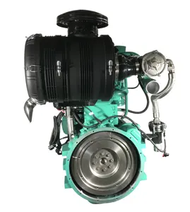 Motor de biogás com dossel silencioso personalizado, motor de hidrogênio e metano, biogás, GLP, CNG, motor de potência para grupo gerador e bomba de água