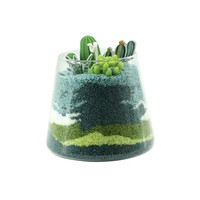 Vase en verre conique transparent pour terrarium d'art sable coloré superposé, mini-scène de cactus, ornement décoratif de table pour la maison et les cadeaux, vente en gros
