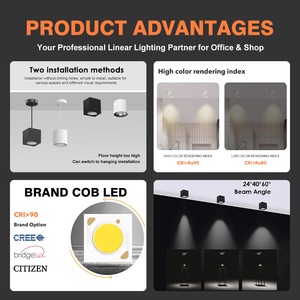 Nouveau modèle de projecteur <span class=keywords><strong>LED</strong></span> 12W de haute qualité en aluminium avec angle de faisceau de 24/40/60 degrés et six températures de couleur réglables avec COB Bridgelux - Product Image 2