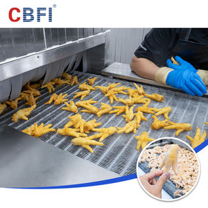 2000 kg/h Iqf 냉동고 Iqf 나선형 냉동고 가격 냉동 튀긴 고기 - Product Image 2