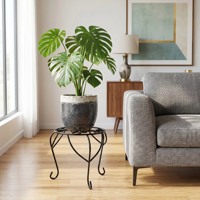 Support de plantes classique en fer forgé sur trépied, noir, revêtement poudré, antirouille, résistant aux intempéries, robuste, avec trou de drainage, lot de 6 pour la maison