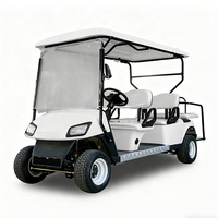 Navette touristique et voiture Voiturette de golf utilitaire électrique 6 places personnalisée