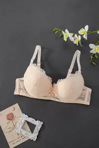 Offre spéciale, vente en gros, jeune soutien-gorge sexy en dentelle, soutien-gorge à bretelles amovibles pour femme de haute qualité