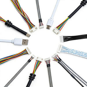 100/200/300MM Ph2.0 2 Pin Kabel Harness Kustom 2/3/4/5/6/7/8/9/10/11/12P Komponen Kabel Harness untuk Kelistrikan - Product Image 1