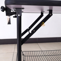 Table de toilettage pliable pour animaux de compagnie EUR PET, table de toilettage professionnelle pliable pour chiens avec bras réglable