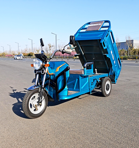 Nouveau modèle de tricycle électrique à 3 roues bon marché <span class=keywords><strong>pour</strong></span> adultes présentoir de tricycle commercial de boîte de 1000W vélo électrique <span class=keywords><strong>pour</strong></span> adultes - Product Image 4