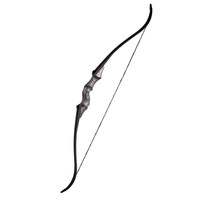 Junxing Lingyun Beauty Hunting Ensemble de tir à l'arc et de chasse : Arc composé inversé, Flèche, Lance-pierre de compétition, Ensemble américain traditionnel en métal