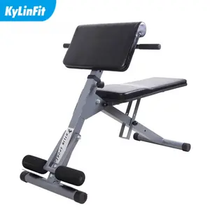 Hiperekstansiyon spor salonu egzersiz Roman sandalye Fitness tezgahı