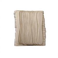 Bâtonnets de crème glacée écologiques en bois de bouleau lisse de 94 mm, faits maison, portables et jetables, vente directe d'usine