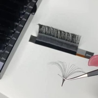 Extensions de cils Easy Fan Blooming Lashes 0.05mm 0.07mm Noir Mat avec cartes de support en feuille métallisée
