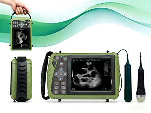 Veterinary Ultrasound System HFS0 Features Touch-sensitive <b>Buttons</b> With a Reasonable Layout for Simple and Easy Operation. The S - Product Image 2