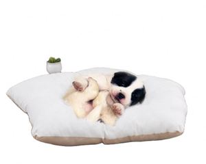 BSCI Factory Pet Cat <b>Dog</b> Rabbit <b>Teepee</b> with Cushion,Portable Puppy Small Animals <b>Bed</b> <b>Teepee</b> Tent - Product Image 3