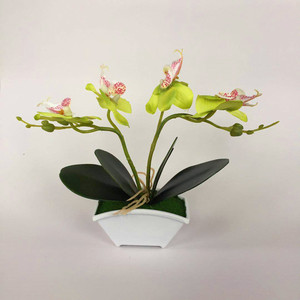 Planta Artificial de Orquídea Phalaenopsis Qi Xing de 20 cm en Maceta, Decoración Floral para Interiores - Product Image 2
