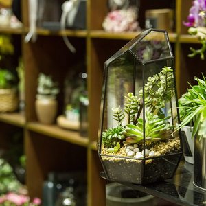 Tự Làm Tabletop Không Thường Xuyên <span class=keywords><strong>Glass</strong></span> Hình Học Cây Không Khí <span class=keywords><strong>Terrarium</strong></span> Hộp Máy Tính Để Bàn Kính Hiển Thị Trồng Cây Mọng Nước Hộp Hoa - Product Image 3
