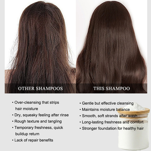 Poudre de <span class=keywords><strong>shampoing</strong></span> concentrée lyophilisée aux extraits naturels de plantes Platycladus Orientalis + Polygonum pour cheveux bouclés adultes, nettoyage en profondeur - Product Image 5