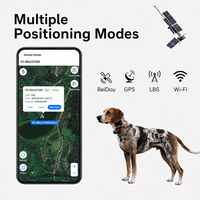 Traceur GPS pour chien de chasse professionnel, étanche IP65, autonomie de 15h, 4G, Bluetooth, lecture des trajets, alerte sonore à distance, électronique