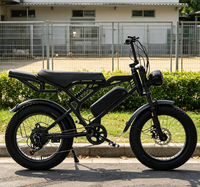 Vélo électrique à pneus de 20 pouces avec fourche à suspension rétro pour la ville et la plage