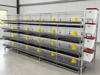 Nouveau système de cage d'élevage entièrement automatique à 4 niveaux pour 2000 poussins, élimination du fumier, construction en acier inoxydable, longue durée de vie