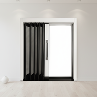 Porte pliante en treillis métallique durable avec moustiquaire pour cuisine et balcon de villa, design minimaliste – Offre spéciale