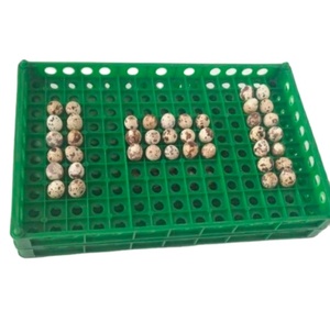 egg plastic tray quail egg plastic box tray wholesale plastic quail egg tray