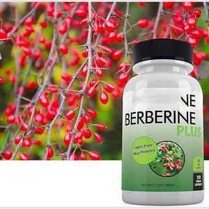 1200mg Berberine HCL capsules voor volwassenen ter ondersteuning van de immuun- en spijsverteringsgezondheid met antioxidatieve eigenschappen - Product Image 3