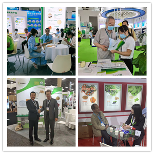 थोक आपूर्तिकर्ता प्राकृतिक Thaumatin स्वीटनर कीमत Thaumatin पाउडर - Product Image 6