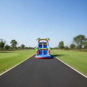 Equipo de Juegos Inflable con Tobogán Hecho de Cloruro de Polivinilo y Materiales Metálicos. - Product Image 4