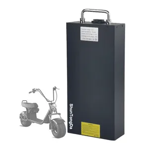 60 v 48 v elektrisches fahrrad scooter batterie für 1000 w 1500 w 2000 w motorleistung kundenspezifische lithium-ionen-batterien akku