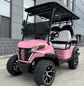 4 + 2 phong cách mới điện Golf Buggy 48V màu sắc có thể được tùy chỉnh - Product Image 3
