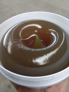 Supporta la personalizzazione Power Eagle lubrificanti multiuso Mp3 a Base di litio grasso/<span class=keywords><strong>nlgi</strong></span> <span class=keywords><strong>2</strong></span> #3 # - Product Image 4