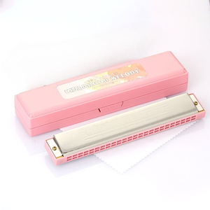 Harmonica polyphonique à 24 trous en Do, harmonica pour enfants, harmonica pour étudiants débutants, instrument pour adultes - Product Image 3