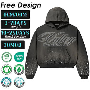 Sudadera con Capucha Extra Grande para Hombre, Personalizada, 100% Algodón, Felpa Gruesa, Estampado de Dibujos Animados, Ecológica, Estilo Urbano de Primavera, de Lujo - Product Image 1