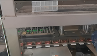 Machine d'emballage automatique de boîtes de sucettes glacées pour l'emballage de boîtes de crème glacée, machine d'emballage de cartons de sucettes glacées