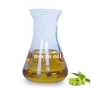 Ingredientes Cosméticos Fabricante de óleo essencial atacado Organic neem óleo para plantas Azadirachta indica Bulk Neem Oil Price