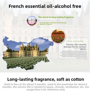 Diffuseur de parfum suspendu <span class=keywords><strong>pour</strong></span> voiture, feuille parfumée longue durée, anti-moustiques, évaporation naturelle - Product Image 3