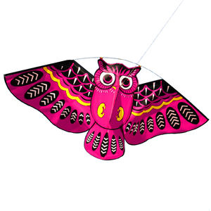 Uil Kite En Uil Vorm Vliegers Met Verschillende Kleuren - Product Image 1