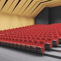 Chaise d'auditorium pliable populaire avec pieds en acier pour hôtel, école, salle et mobilier de salle de conférence