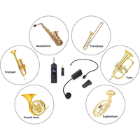 Système de microphone sans fil professionnel à succès – Micro-cravate et micro-casque sans fil pour instruments de musique, églises et scènes