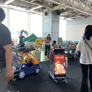 Airport Passenger Hand <b>Trolley</b> Wear Resistant Wheel Baggage <b>Cart</b> For Station Lobby - Product Image 5