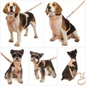 Correa de lujo recubierta de PVC suave hebilla de cinturón femenino regalo promocional correa de perro de lujo y Collar personalizado para perro pequeño - Product Image 6