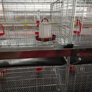 Jaulas <span class=keywords><strong>para</strong></span> <span class=keywords><strong>Pollos</strong></span> <span class=keywords><strong>de</strong></span> Engorde, Cría <span class=keywords><strong>de</strong></span> Aves <span class=keywords><strong>de</strong></span> Corral, Criadora <span class=keywords><strong>de</strong></span> Pollitos, Jaulas <span class=keywords><strong>para</strong></span> Cría <span class=keywords><strong>de</strong></span> Aves <span class=keywords><strong>de</strong></span> Corral, Jaulas <span class=keywords><strong>para</strong></span> Pollitos en <span class=keywords><strong>Venta</strong></span> - Product Image 5