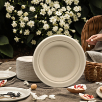 Assiettes jetables de canne à sucre de qualité alimentaire canne à sucre pâte à papier de bambou Bio compostable plat dégradable pour la fête