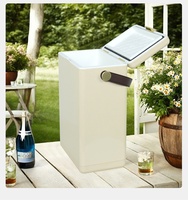 Seau à glace et refroidisseur à vin isotherme portable en fer de 10 L pour l'extérieur