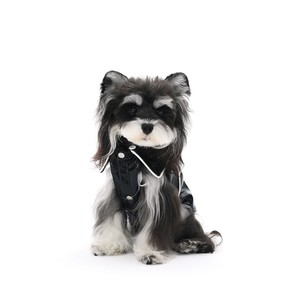 ZHONGYA Haustierzubehör Meistverkaufte Schwarze Lederjacke für Haustiere Passende Hundebekleidung Modische und Wasserdichte Hundejacke - Product Image 3