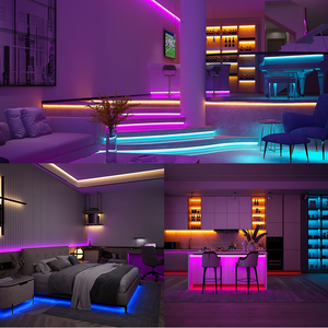 Dải Đèn Trang Trí RGB Dải Đèn DC12V 24V 5050 Linh Hoạt Điều Khiển LED RGB Cho Kỳ Nghỉ - Product Image 5