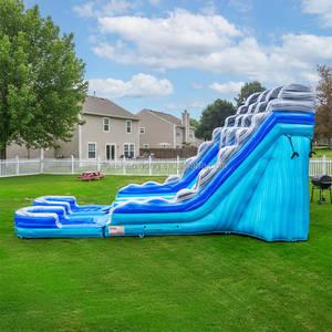 Tobogán Inflable Comercial Grande para Exteriores, Tobogán Acuático Doble con Piscina para Niños y Adultos, Tobogán Acuático Inflable con Soplador - Product Image 4