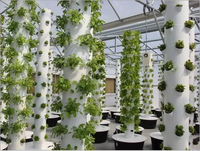 Serre hydroponique à quatre colonnes pour la culture de légumes et de fruits, tour de culture intérieure pour tomates