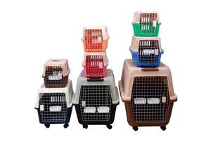 Fabriek Groothandel Draagbare <span class=keywords><strong>Plastic</strong></span> Huisdier Transportkooi Luchtvaartmaatschappij Kat En Hond Drager Poorten En Pennen - Product Image 3