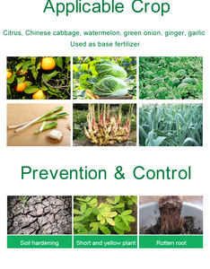 Nông nghiệp hạt cơ sở phân bón Nhà cung cấp Hữu Cơ vấn đề thúc đẩy Crop thực vật rễ - Product Image 4