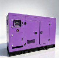 Generador de Gas Súper Silencioso de 250kW Refrigerado por Agua, Alternador sin Escobillas, Control ATS, Arranque con un Botón, Generador de Reserva Industrial